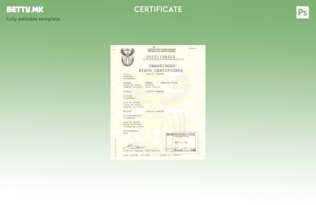 Модерен стил Шаблон за извод од матична книга на родени за Министерството за вна